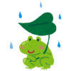 あぁ、梅雨ですねぇ